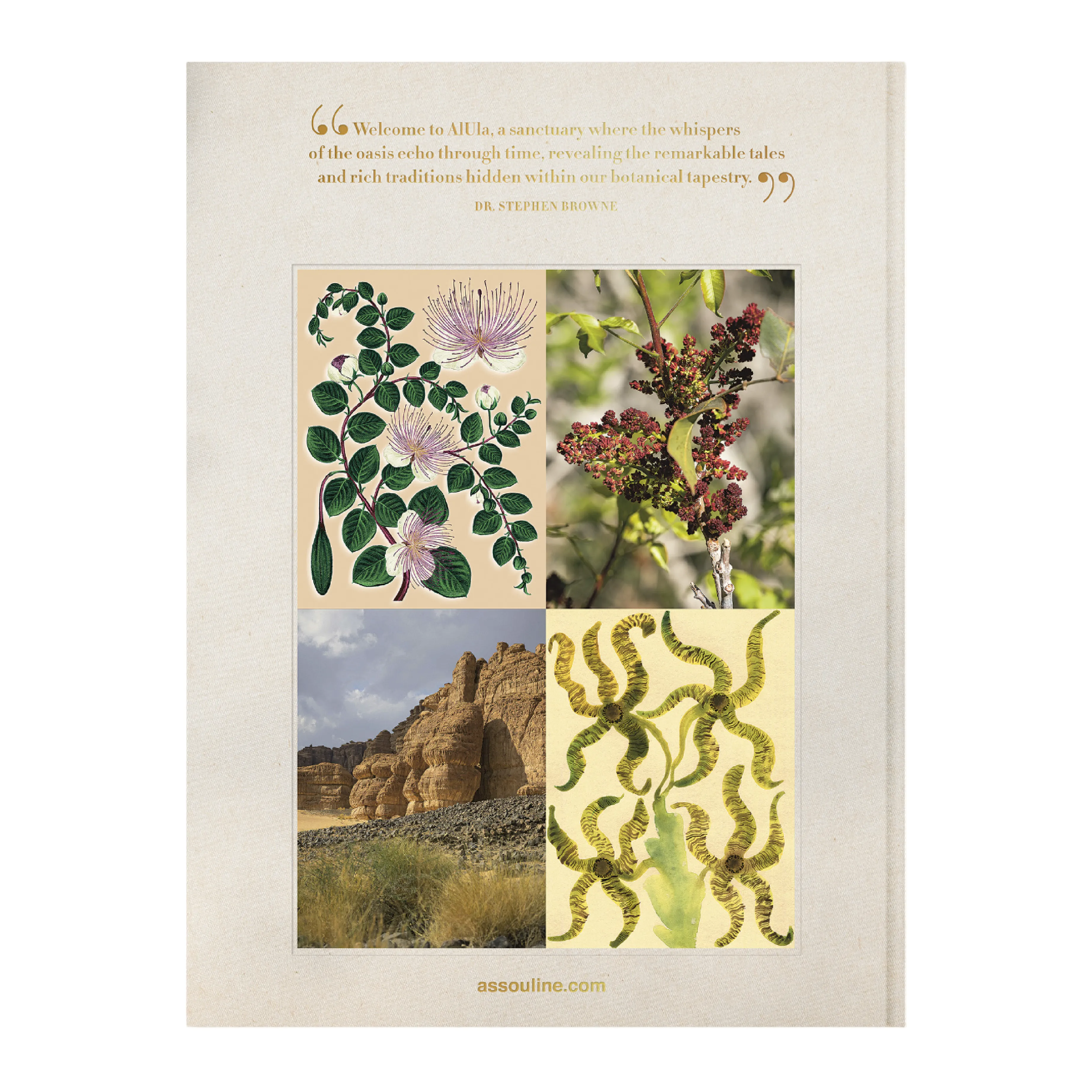 AlUla Flora: A Botanical Treasure Book | Abdulaziz Assaeed