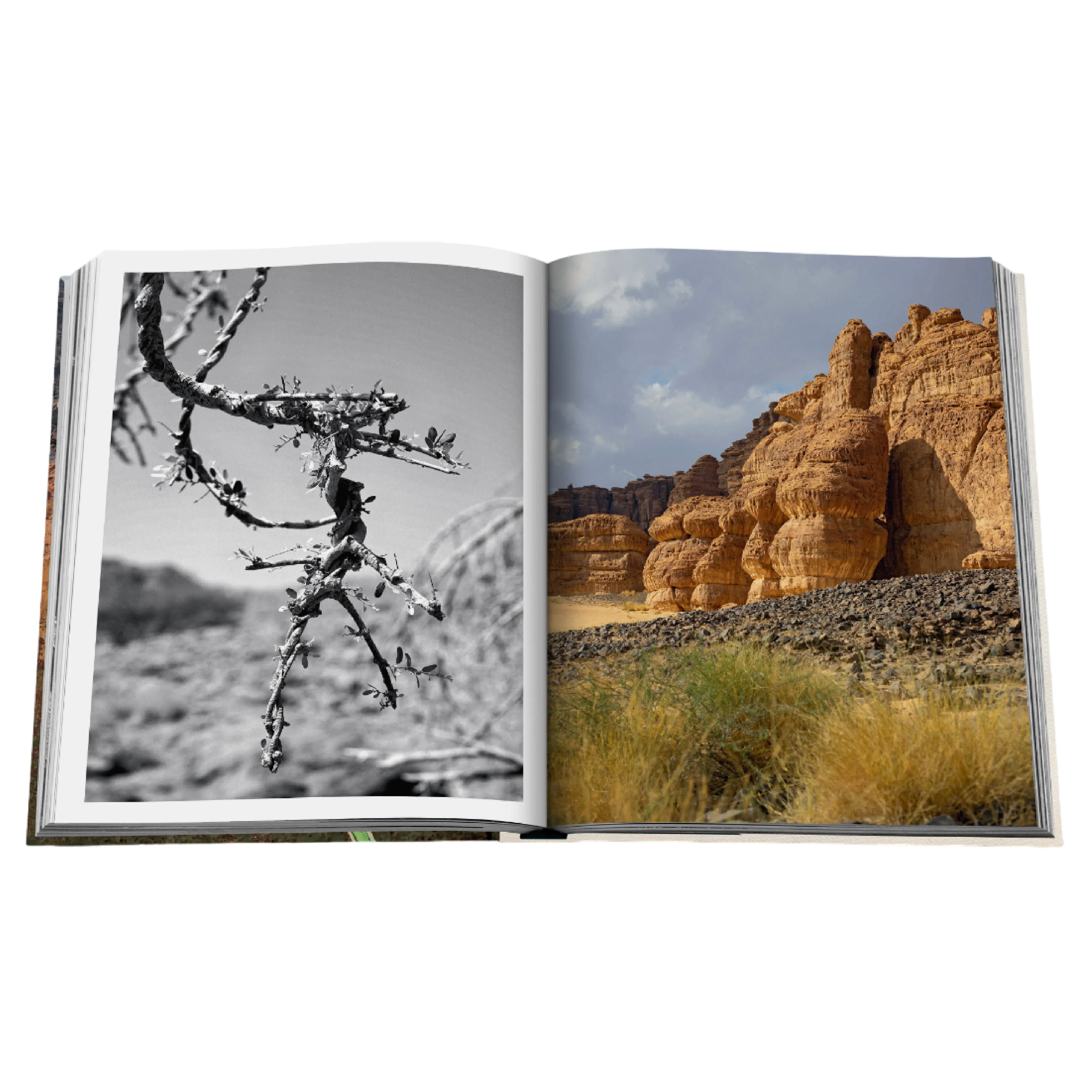 AlUla Flora: A Botanical Treasure Book | Abdulaziz Assaeed