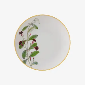 Bernardaud | Jardin Indien Bread & Butter Plate
