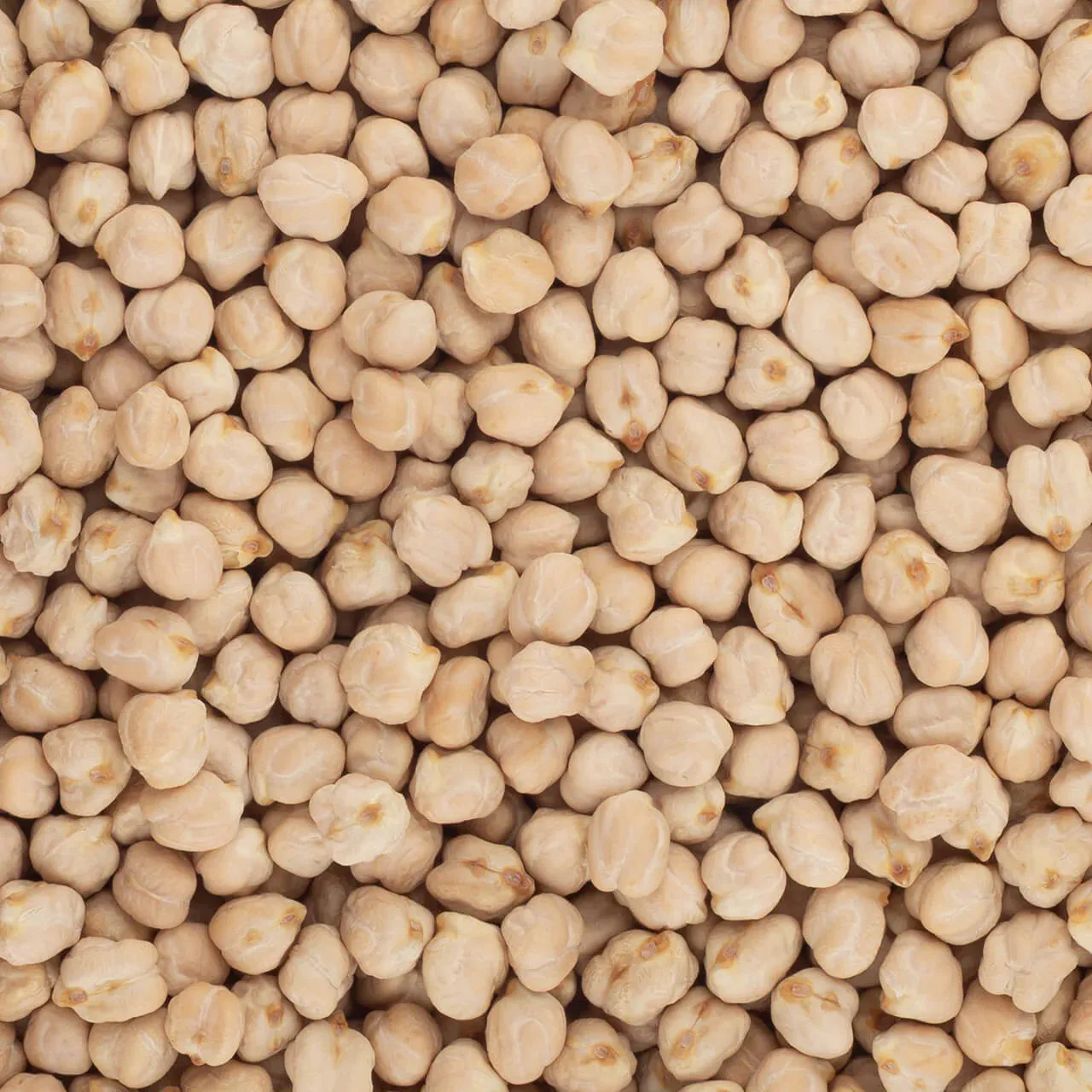 Brindisa Epic Lechoso Chickpeas 500g