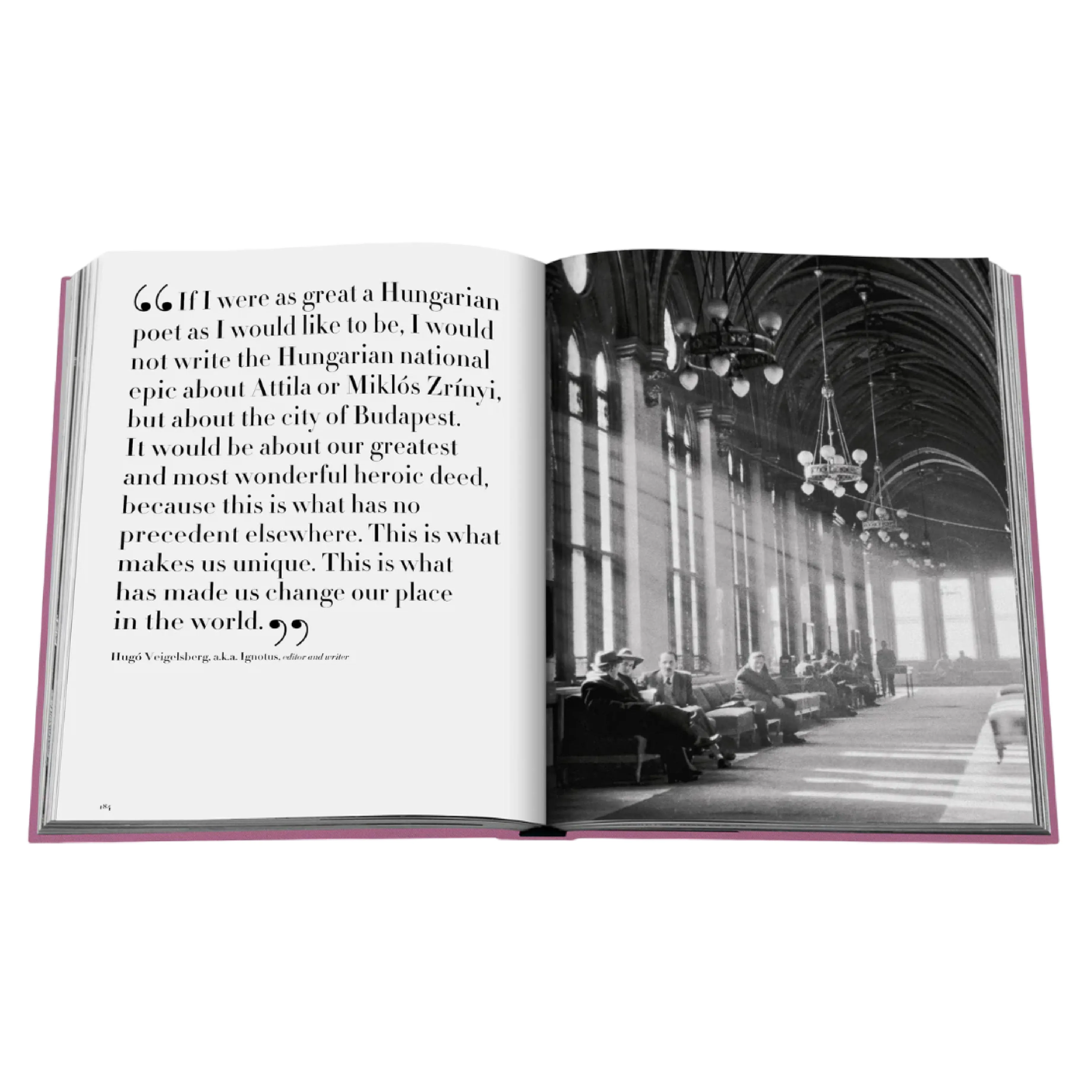 'Budapest Gem' Book | Andrs Trk