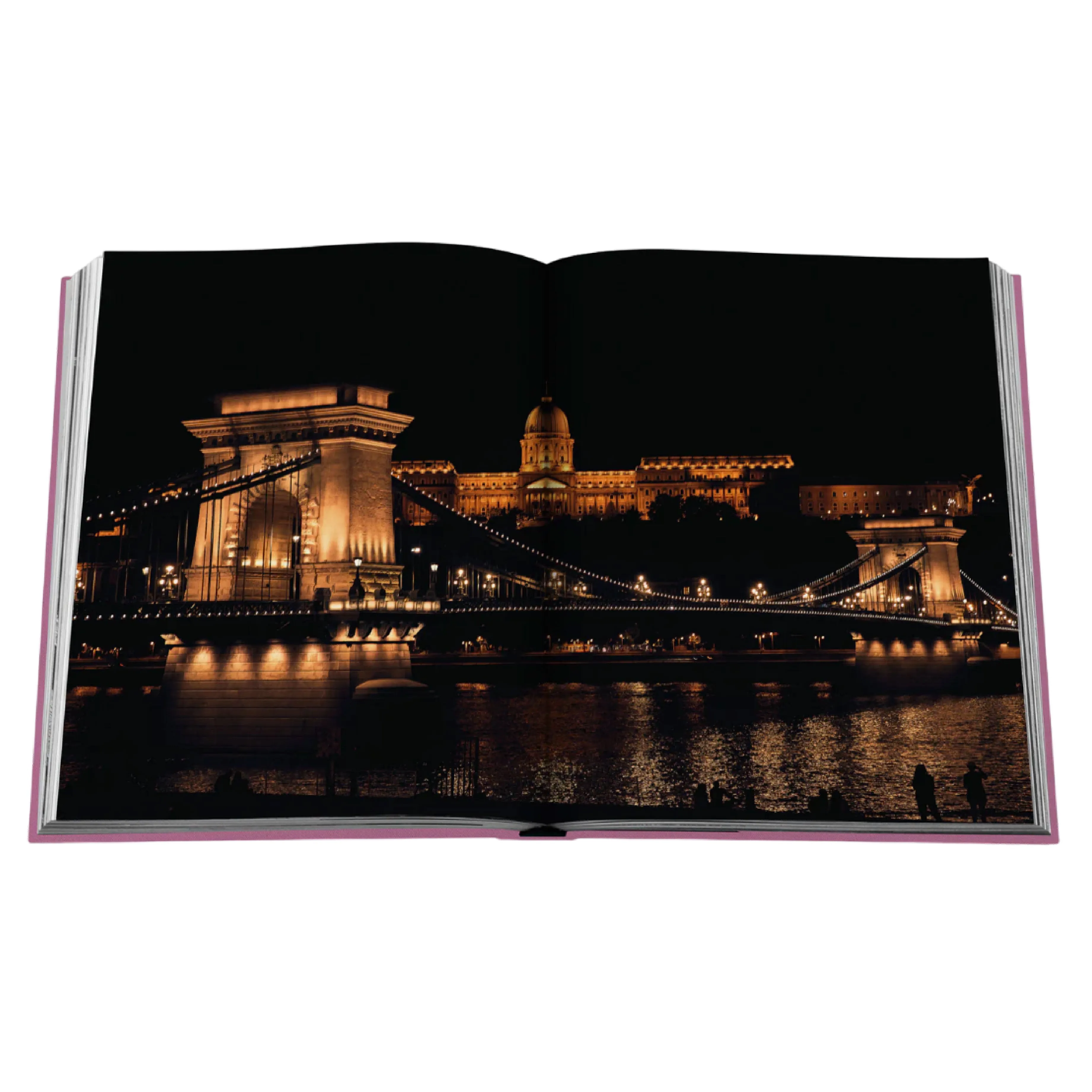 'Budapest Gem' Book | Andrs Trk