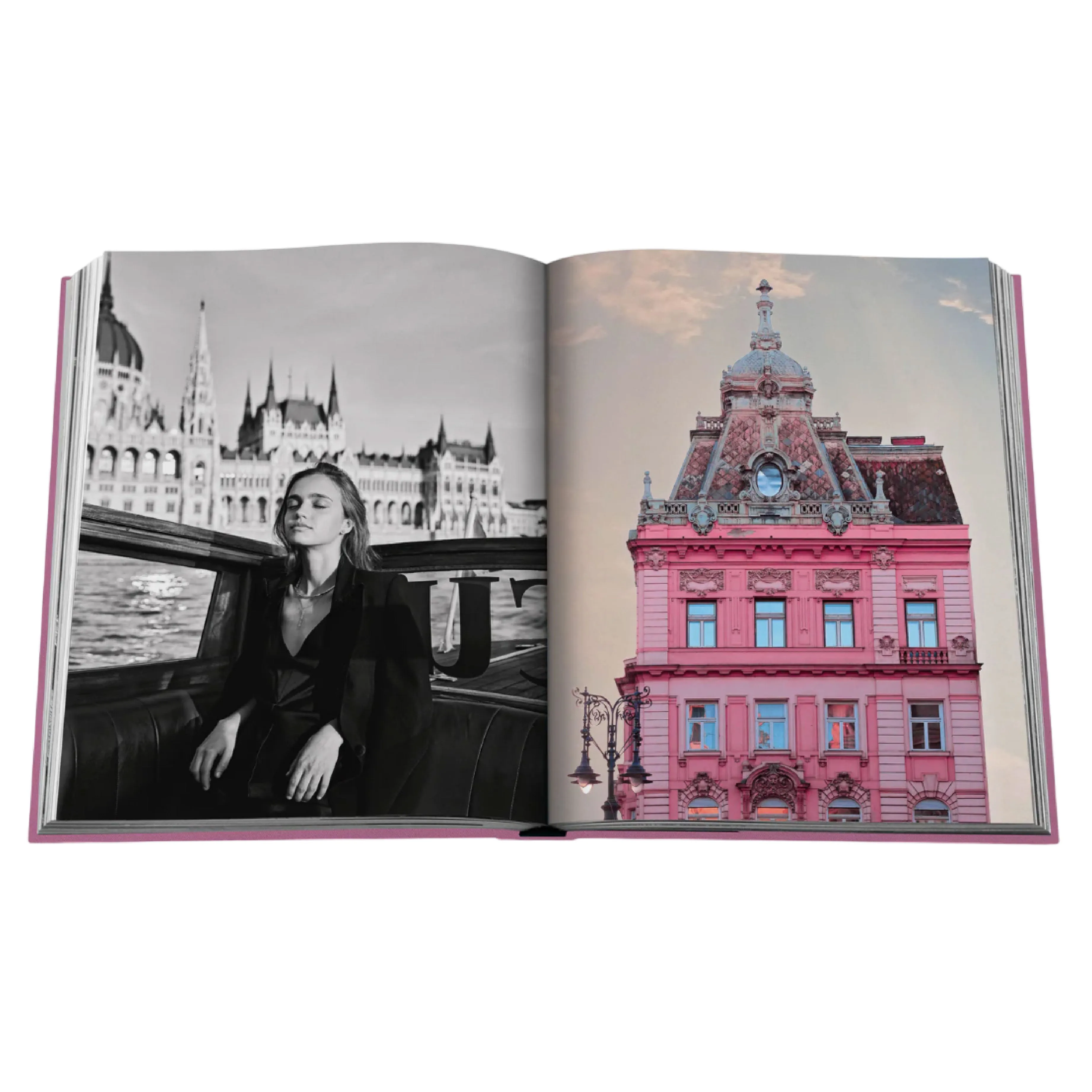 'Budapest Gem' Book | Andrs Trk