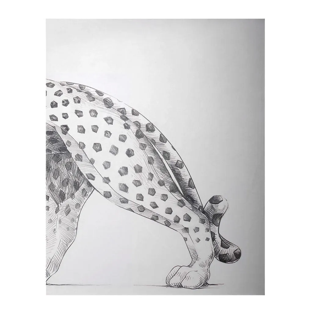'Cartier Panthere' Book | Brnice Geoffroy-Schneiter