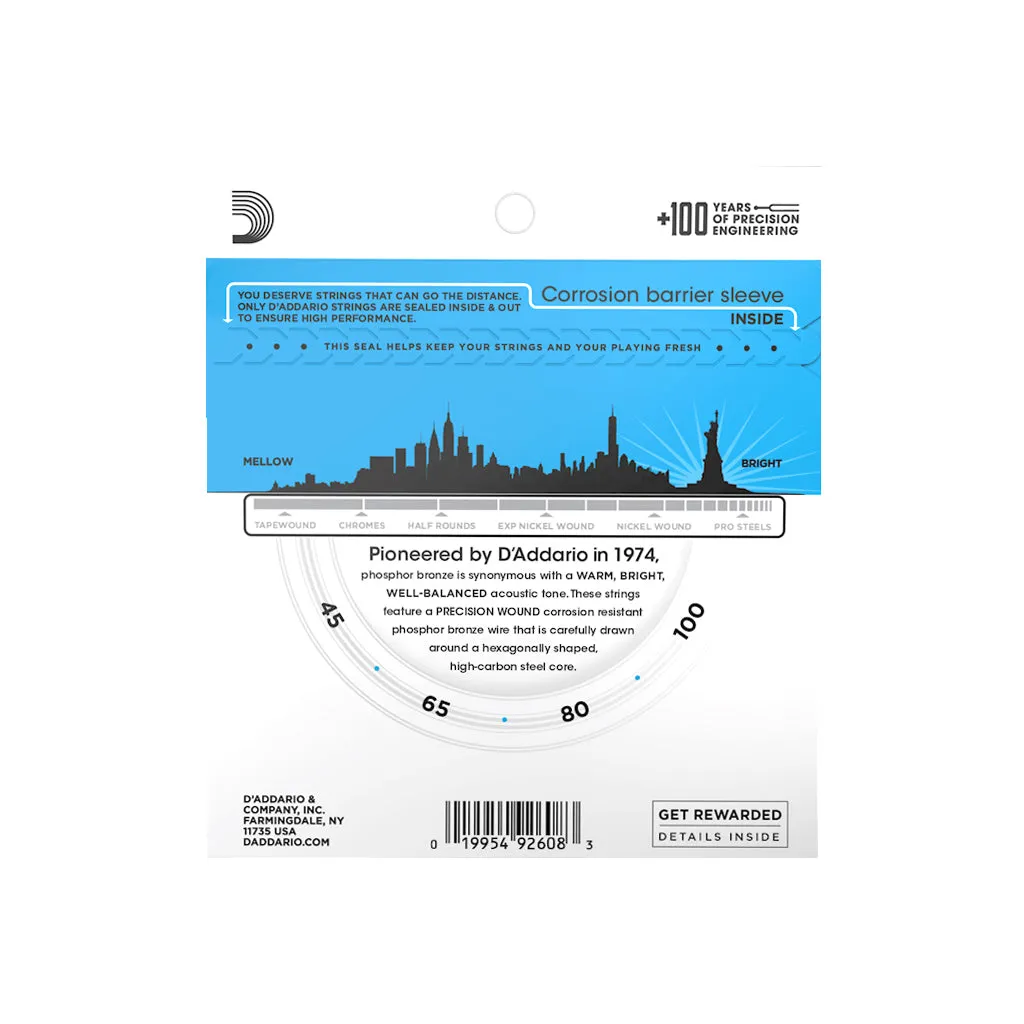 D'Addario - EPBB170 - Set Acoustic Bass Strings PB 45-100 - Acoustic Bass Strings