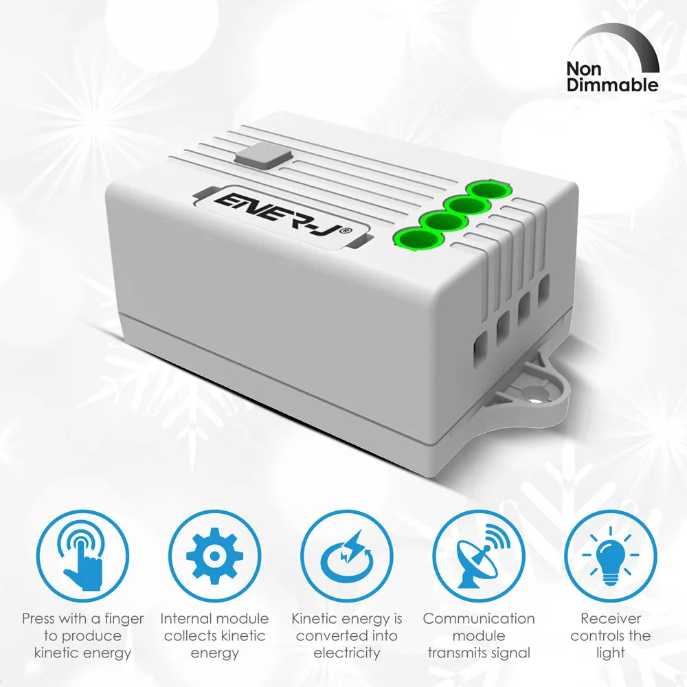 Ener-J 10A(1000W) RF Non Dimmable receiver for *PRO RANGE* Kinetic Switches