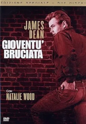 Gioventu' Bruciata Special Edition 2Dvd