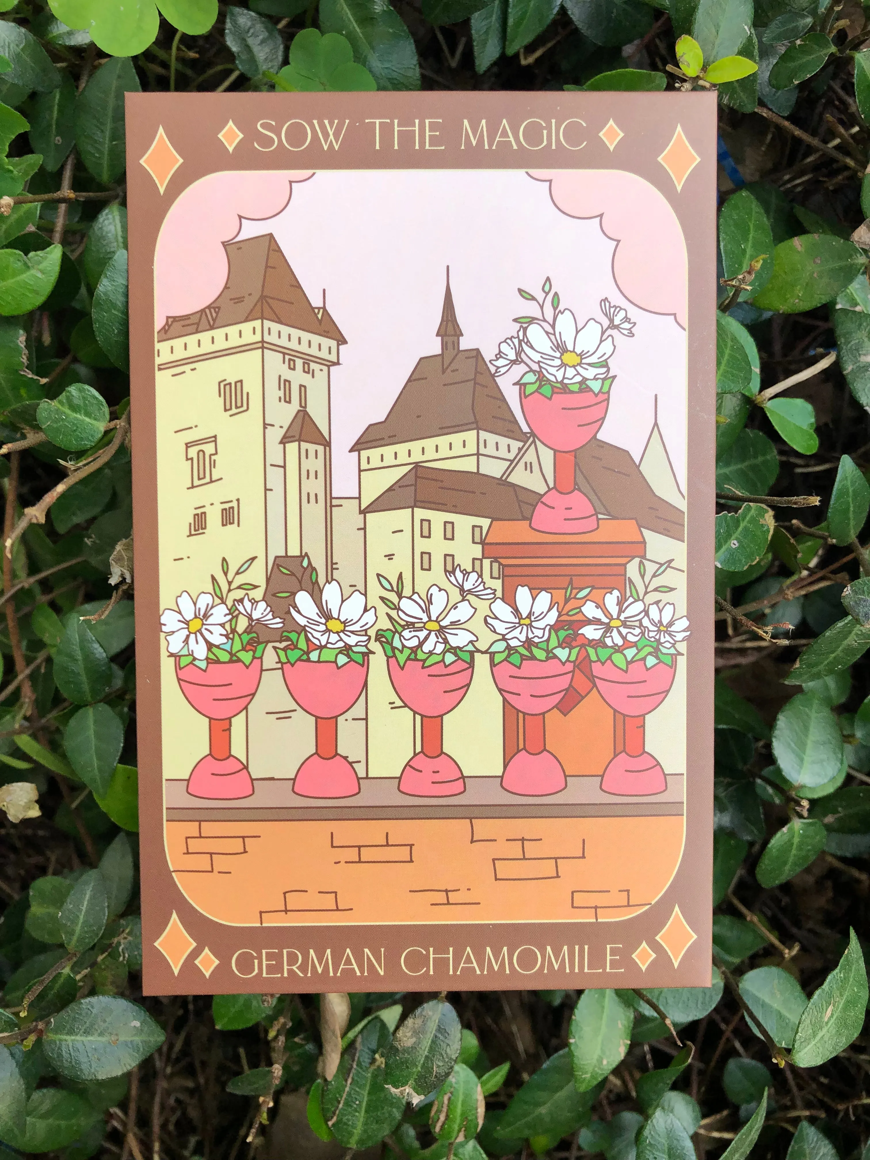 Seed Collection - Magickal Flowers, Herbs, and Vegetable Varieties