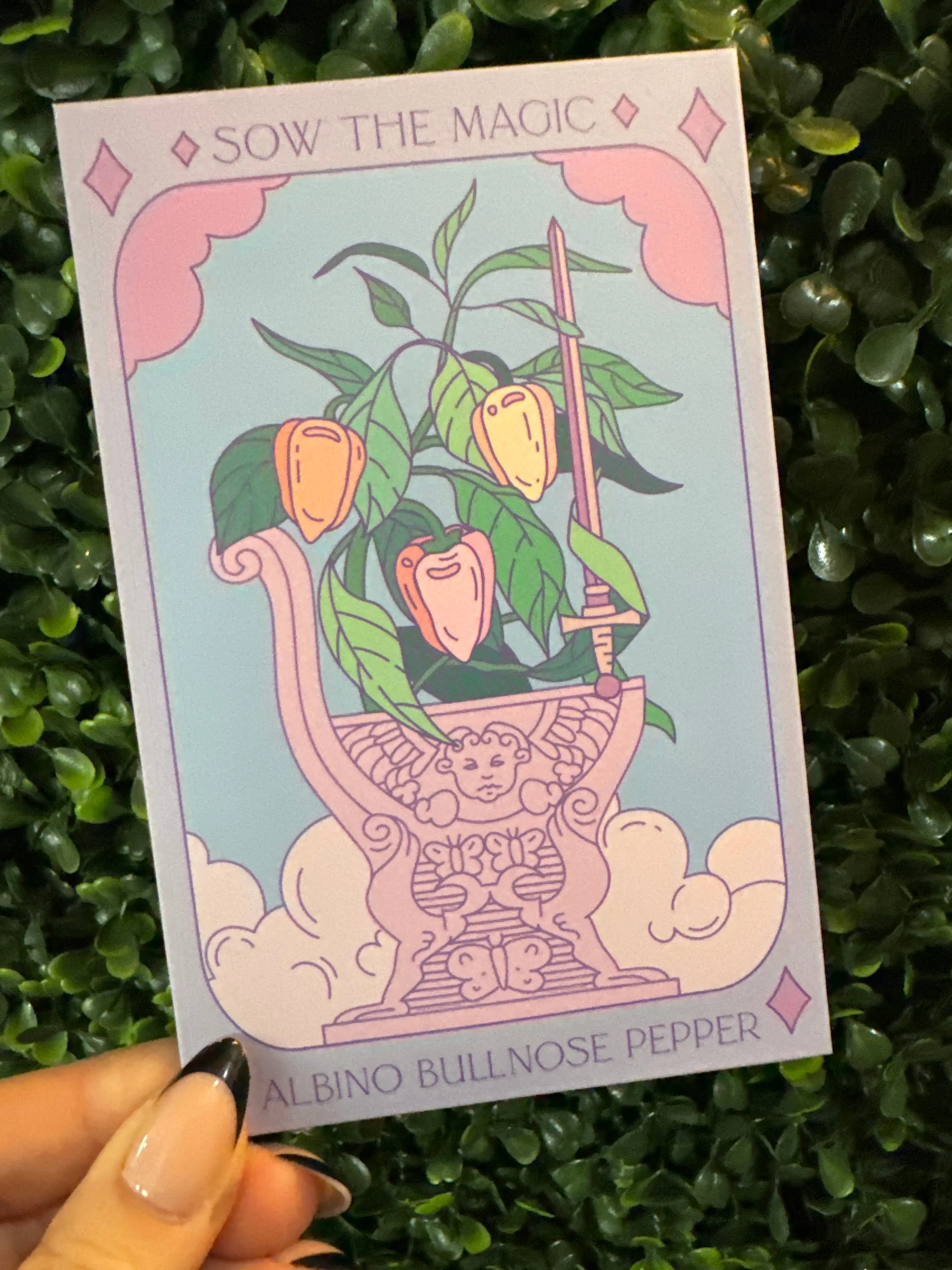 Seed Collection - Magickal Flowers, Herbs, and Vegetable Varieties