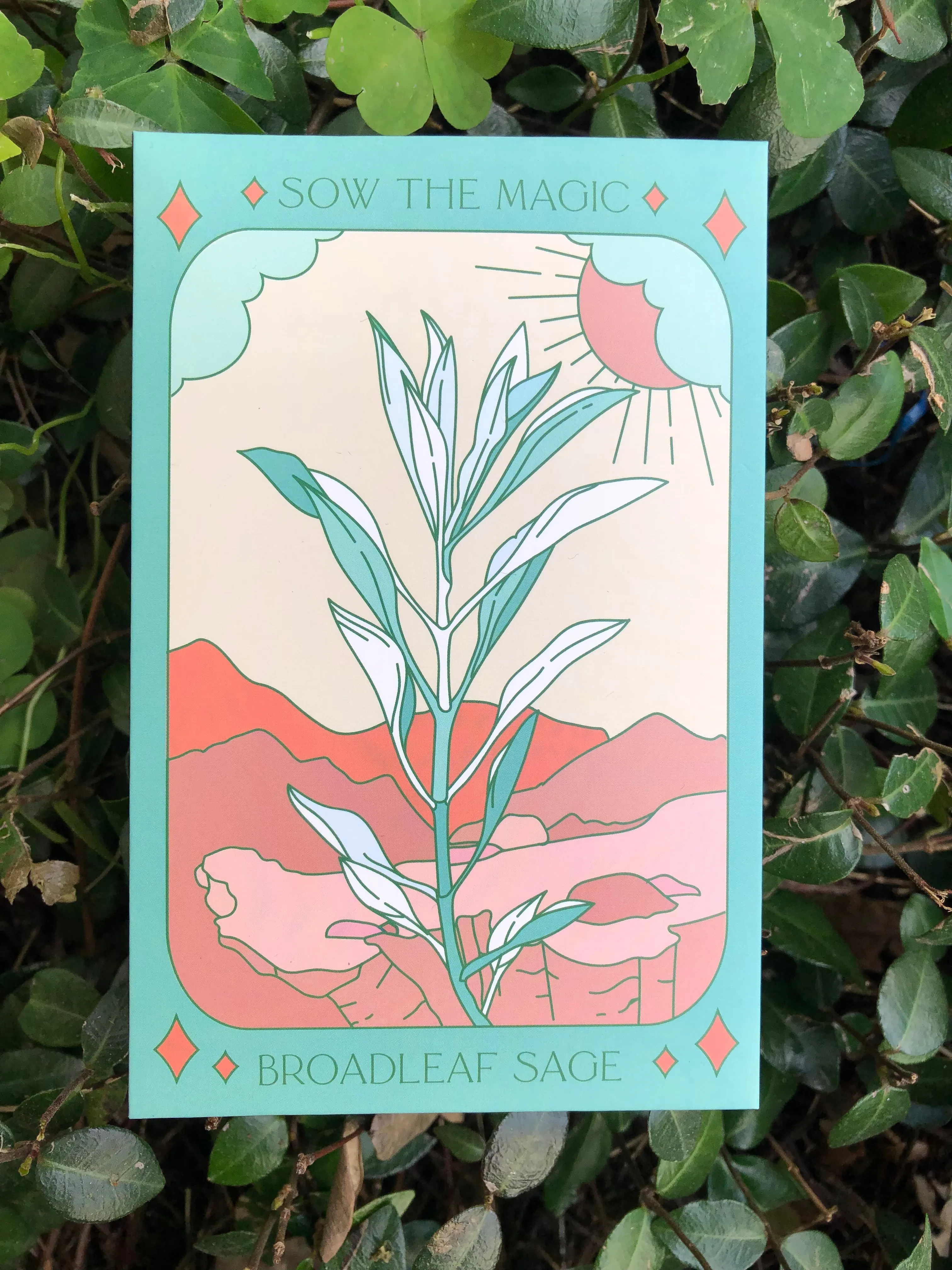 Seed Collection - Magickal Flowers, Herbs, and Vegetable Varieties