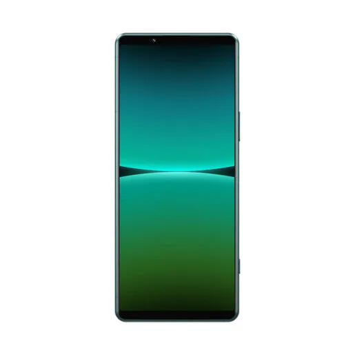 Sony Xperia X5 IV 5G 128GB D.Sim - Green 15.5 cm (6.1") Dual SIM Android 12 USB Type-C 8 GB 5000 mAh