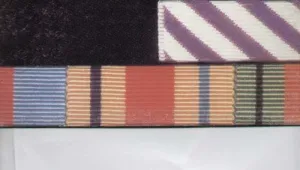 The Final Cut