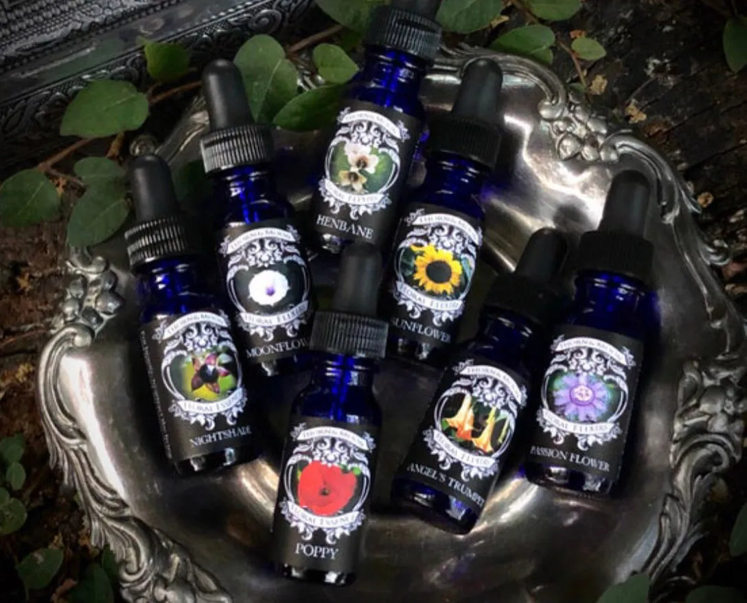 Thorn & Moon Floral Elixirs - Nightshade - Flower Essence