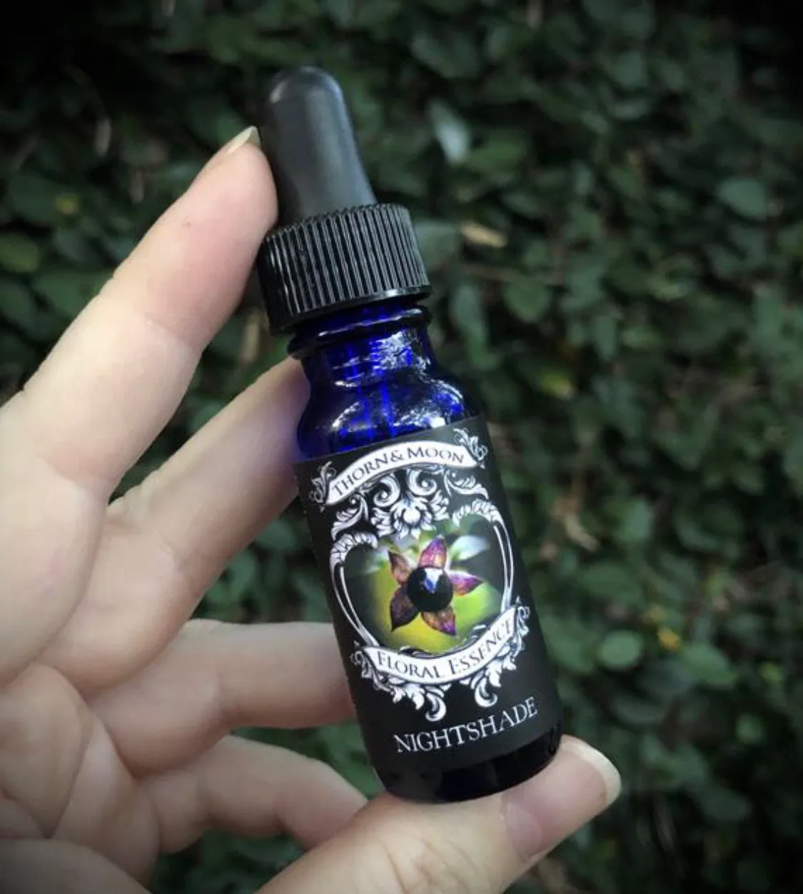 Thorn & Moon Floral Elixirs - Nightshade - Flower Essence
