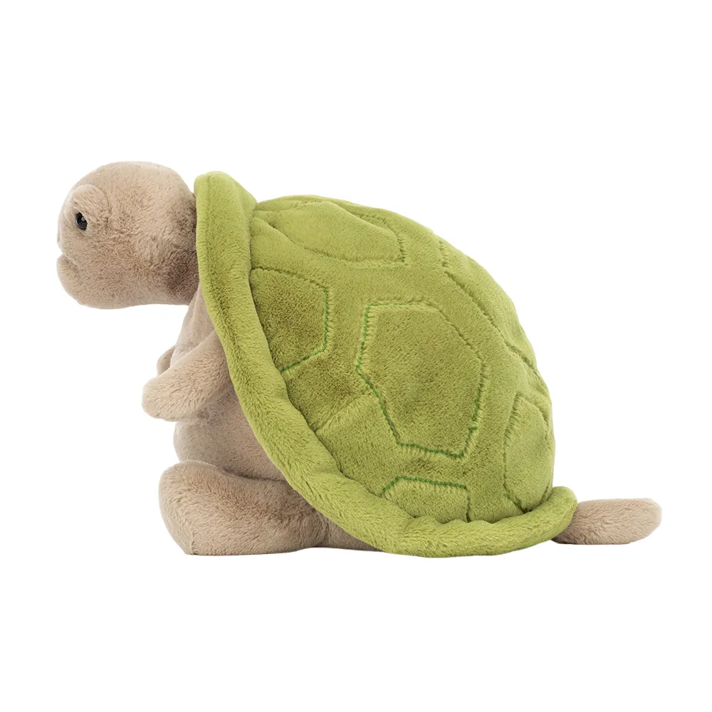 Timmy Turtle