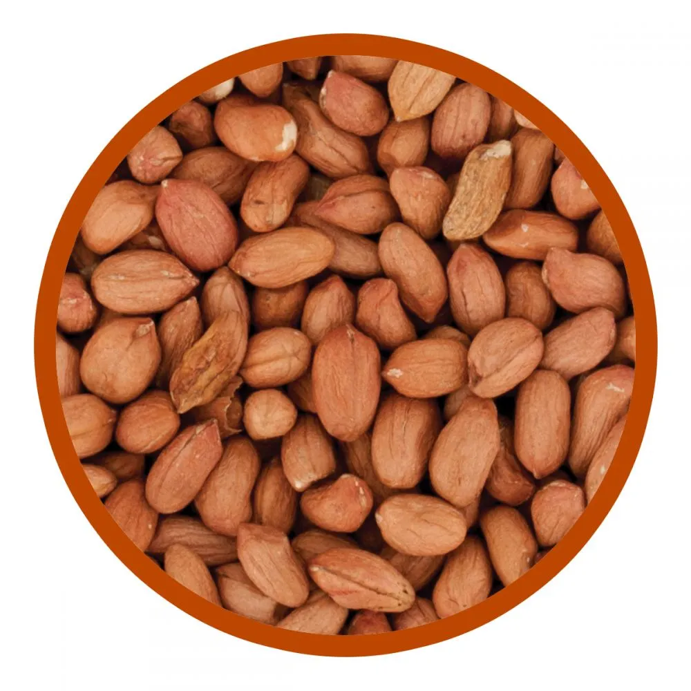 Walter Harrison's Premium Peanuts Bird Feed Pouch 4kg