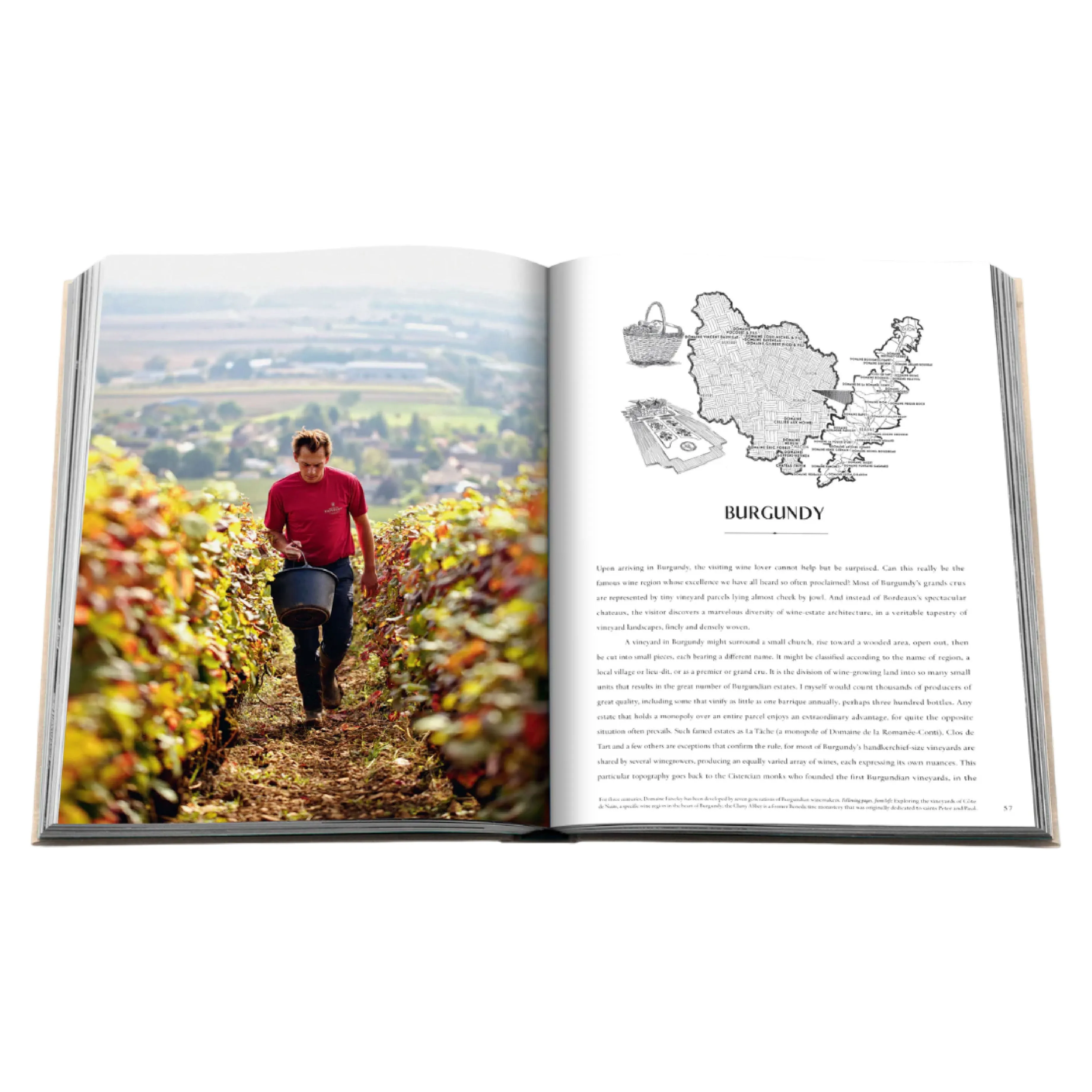 'Wine & Travel France' Book | Enrico Bernardo